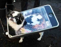 A dog and an Iphone